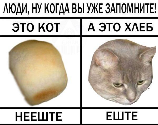 1699397402211.webp