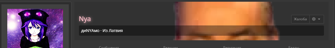 1699403872587.webp