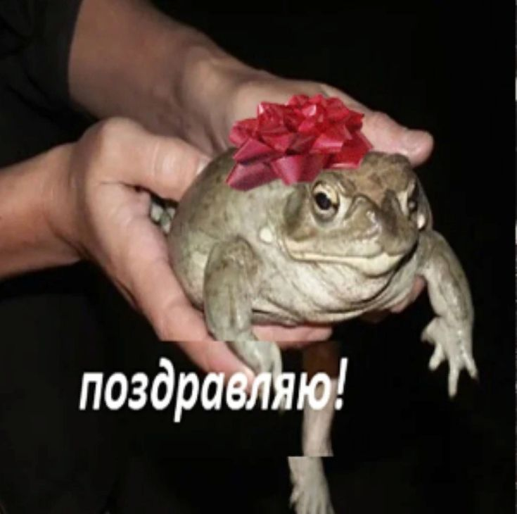 1699980218439.webp