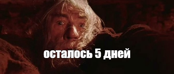 1700050255380.webp