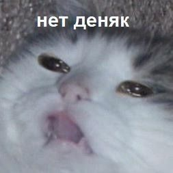 1701116050214.webp