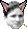 1701177626991.webp