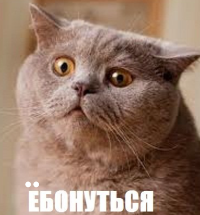 1701226974181.webp