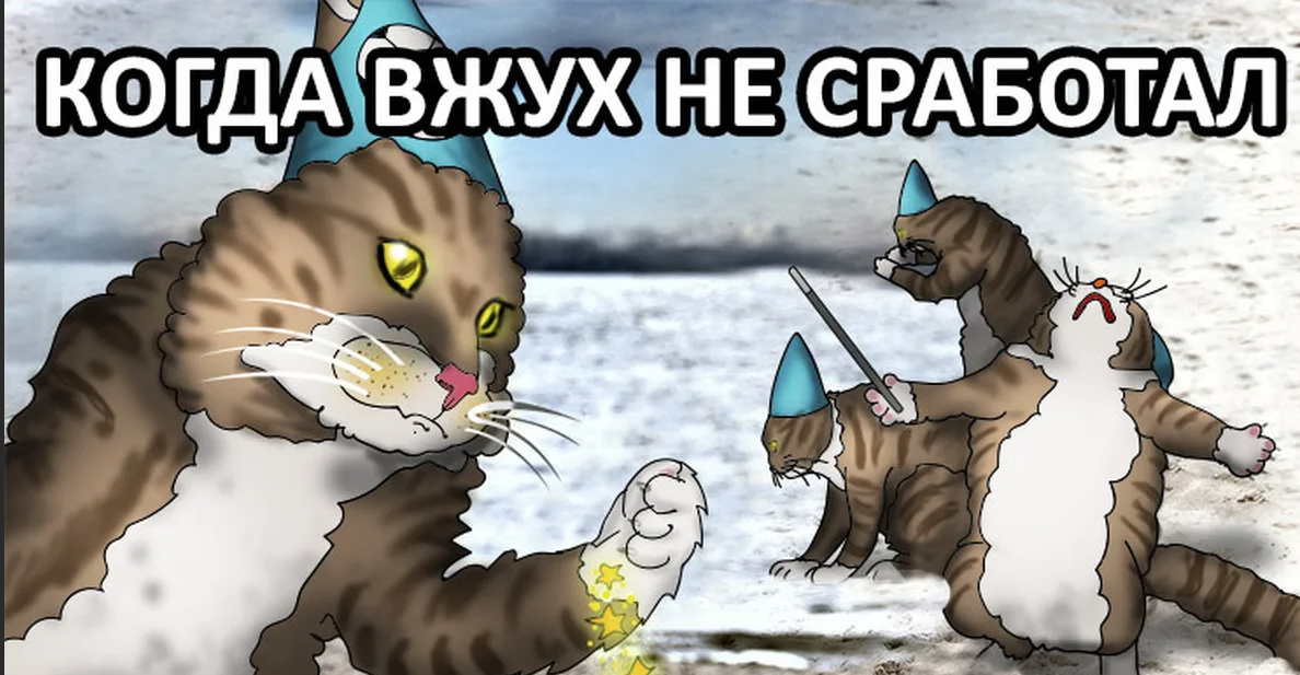 1701602643582.webp