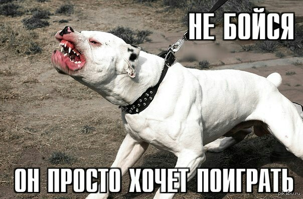 1701620492861.webp