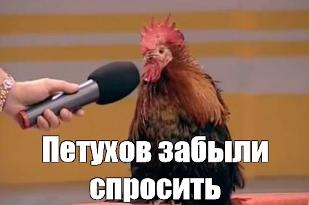 1702220600962.webp
