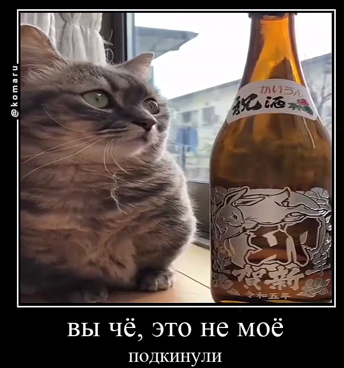1702271327188.webp
