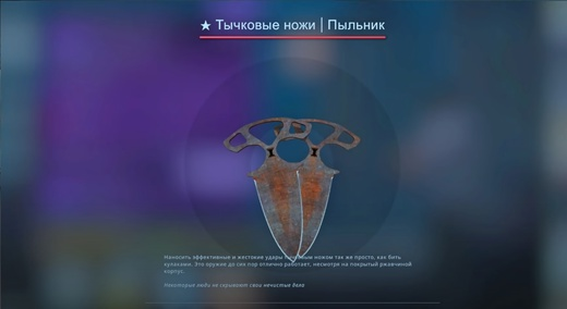 1702323124612.webp