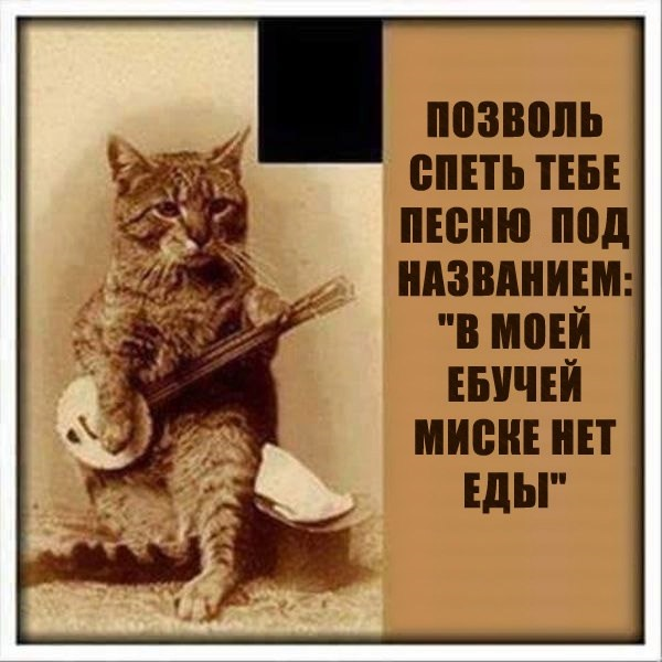 1702334513502.webp