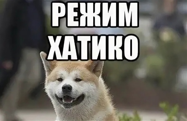 1702458897974.webp