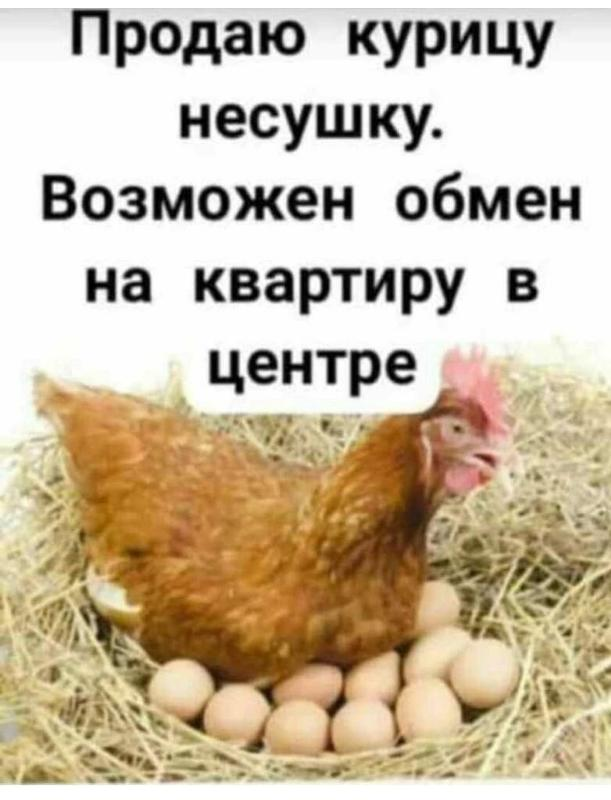 1702587053773.webp
