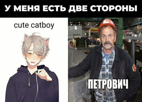 1702734840408.webp