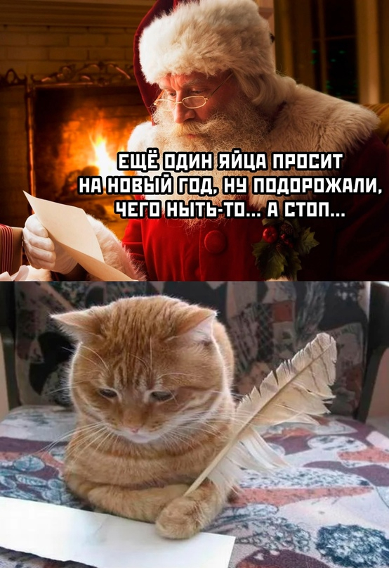 1702838316749.webp