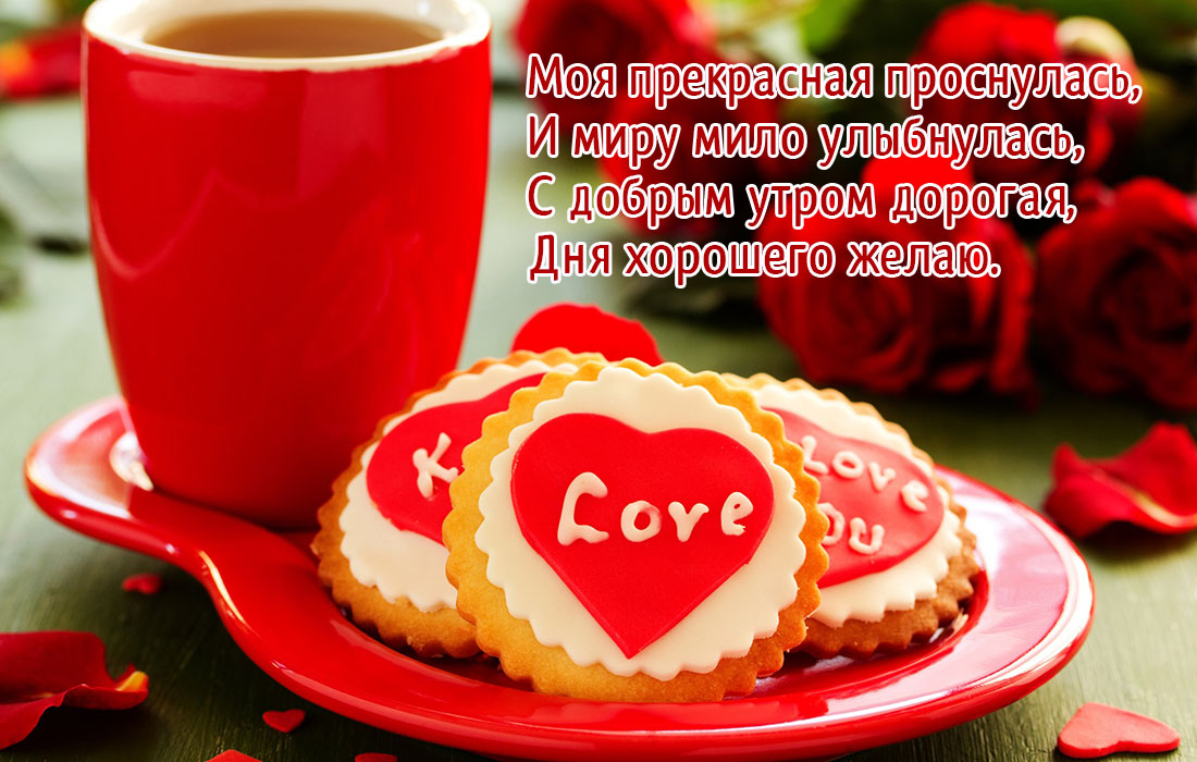 1702976597452.webp
