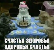 1702996068639.webp