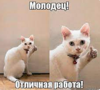 1702996178888.webp