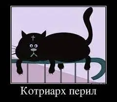 1703024158083.webp