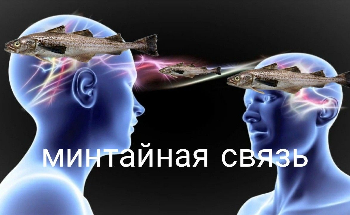 1703039603892.webp