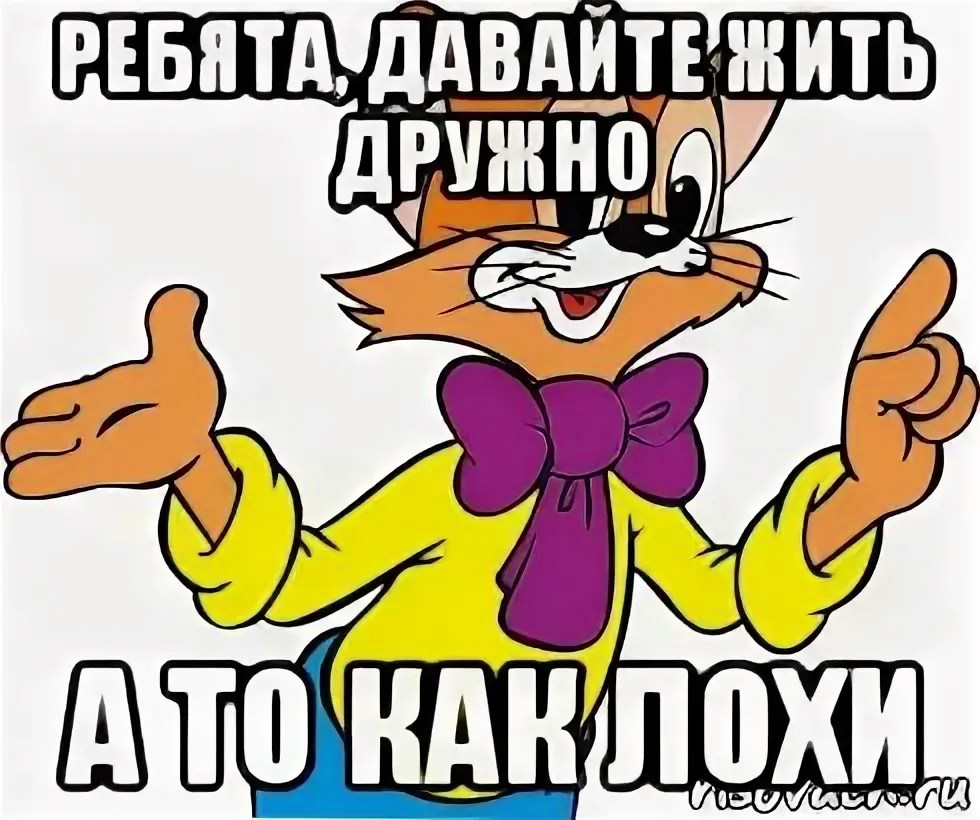 1703142738450.webp