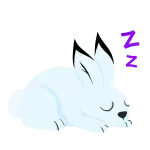 1703183304920.webp