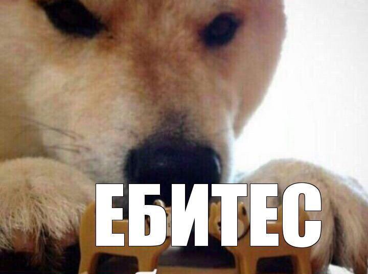 1703199071317.webp