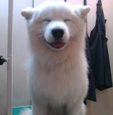 1703352374072.webp