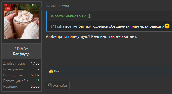 1703438794584.webp