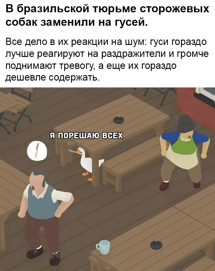 1703485044049.webp