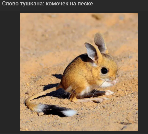 1703499627717.webp