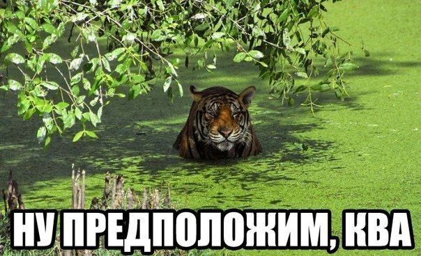 1703528395980.webp