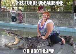 1703528539815.webp