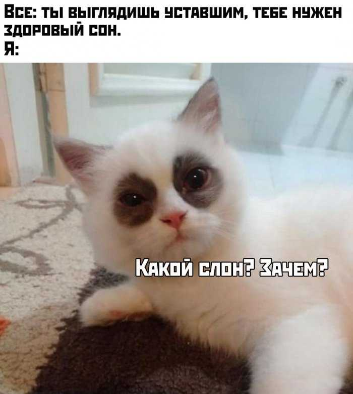 1703561450091.webp