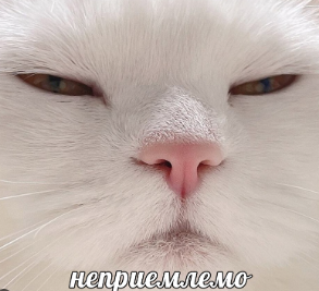 1703699120921.webp