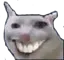 1703940612910.webp