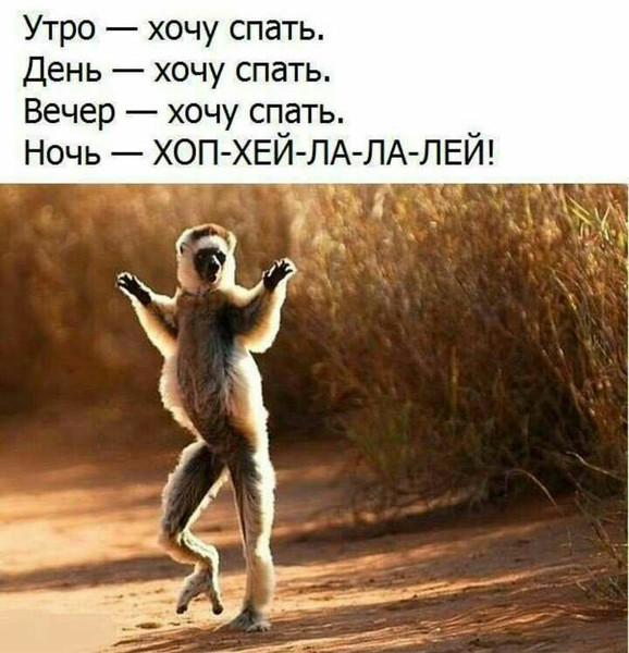 1704236530708.webp