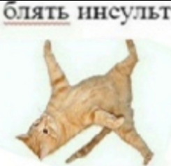 1704367045845.webp