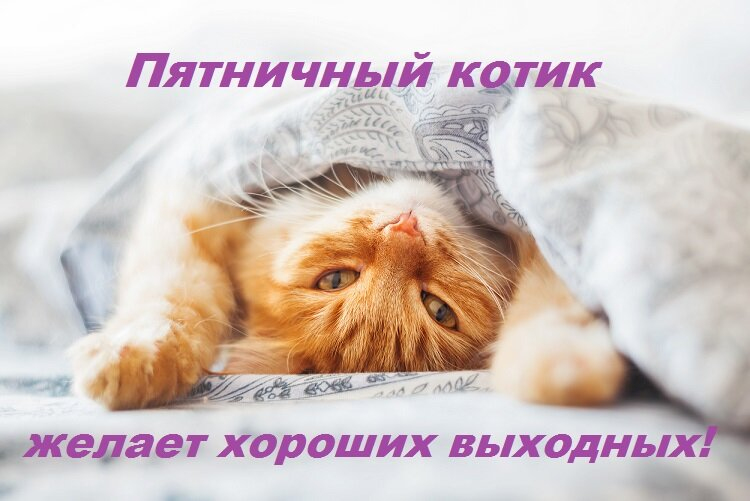 1704456930314.webp