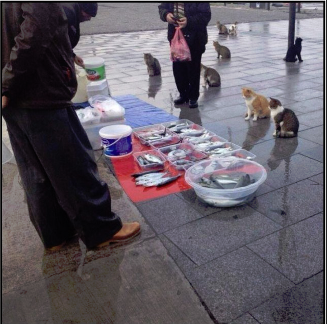 1704535035679.webp