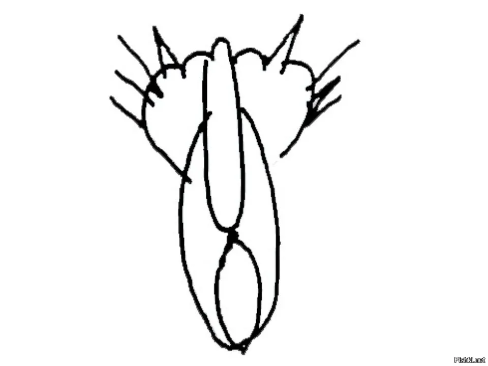 1704944490590.webp