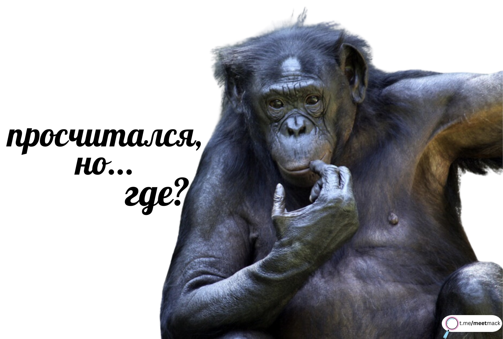 1705625686291.webp