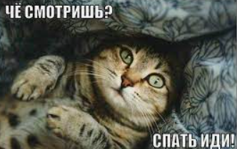 1706045086416.webp