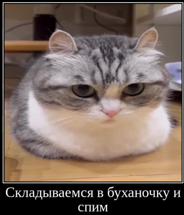1706769029124.webp