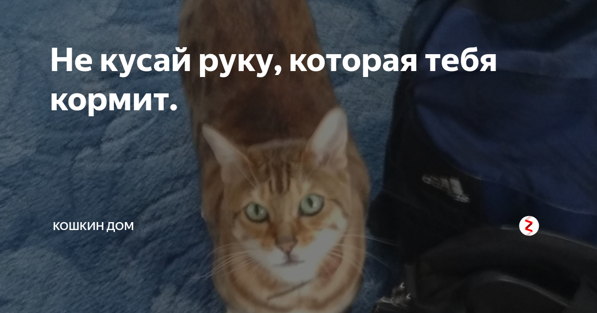 1706825784304.webp