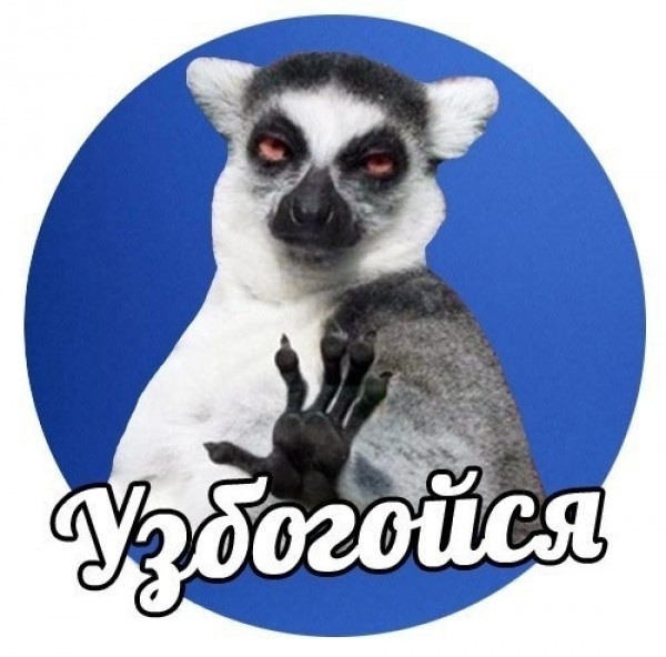 1706970283764.webp
