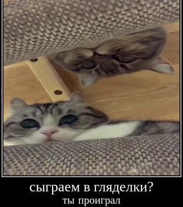 1707474499790.webp