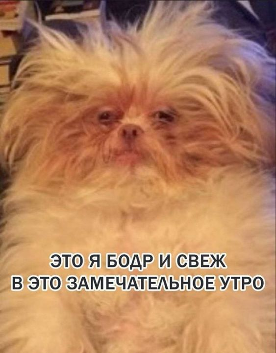 1707712028737.webp