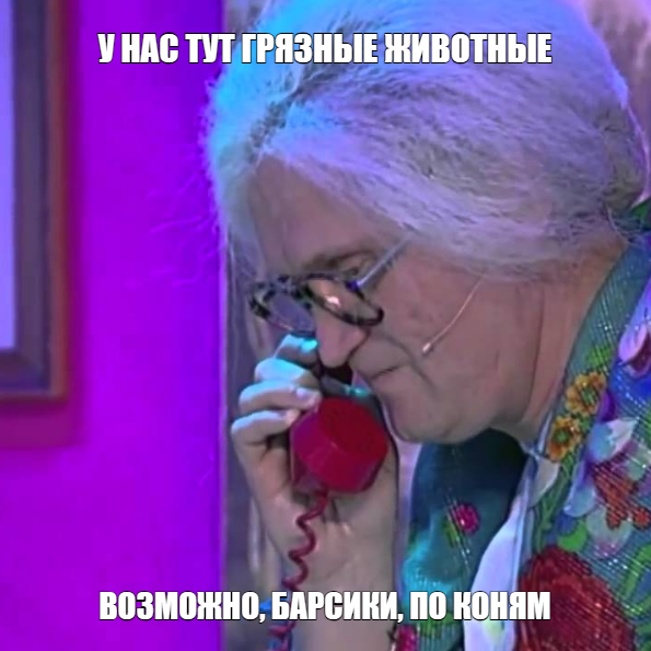 1707862444421.webp