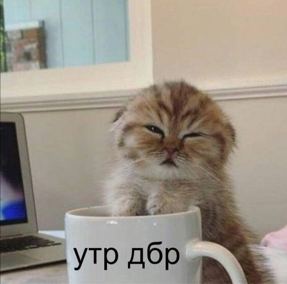 1707891185560.webp