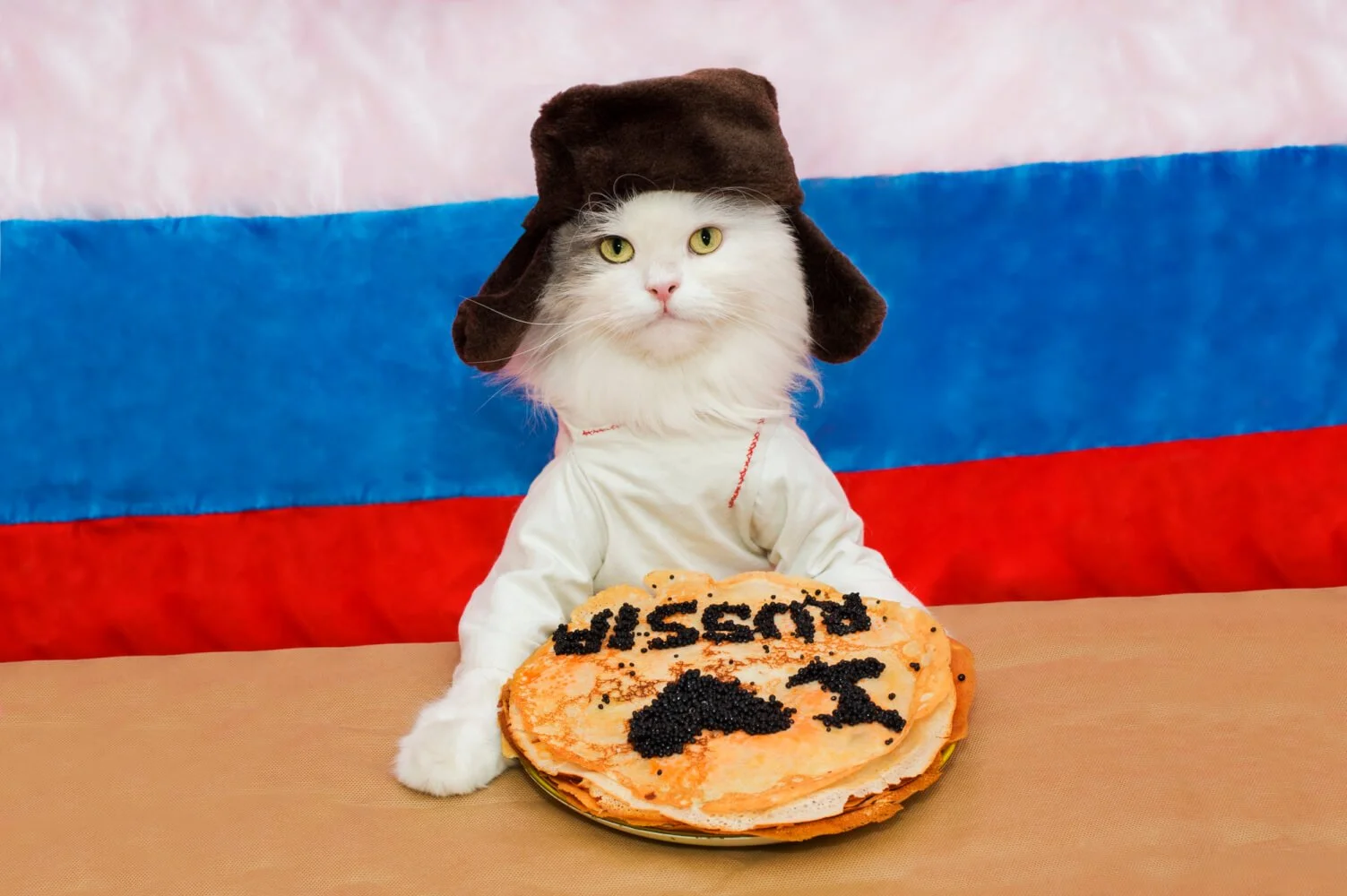 1707944645351.webp