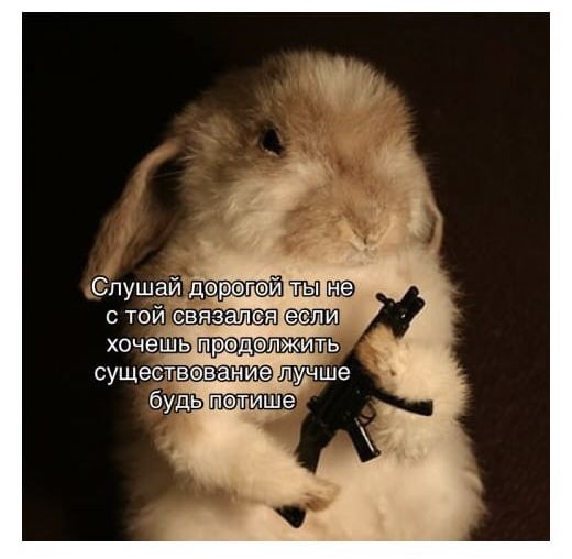 1708193979937.webp